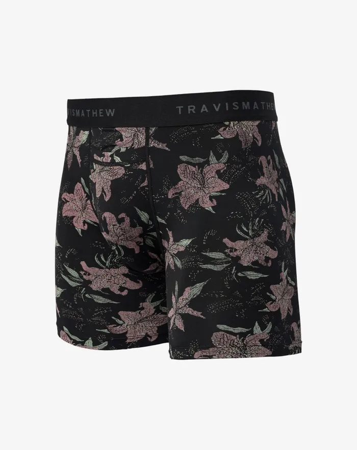 Accessories Boxers TravisMathew PARADISE PEAK BOXER Black