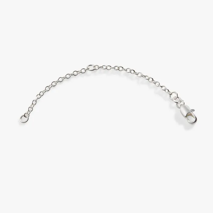 Accessories Women Alex And Ani Cable Chain Extender 3039039 Silver