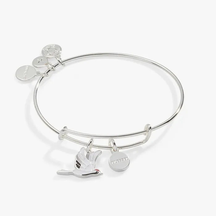 Bracelets Women Alex And Ani Blessed039 Crane Duo Charm Bangle Bracelet Silver Bracelets Women Alex And Ani Blessed039 Crane Duo Charm Bangle Bracelet Silver
