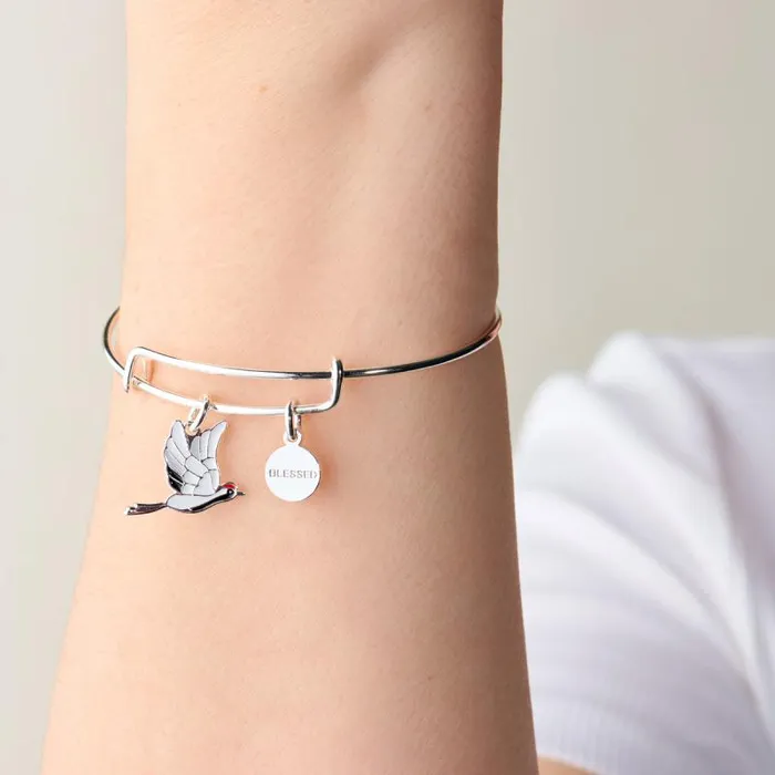 Bracelets Women Alex And Ani Blessed039 Crane Duo Charm Bangle Bracelet Silver