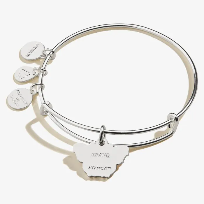 Bracelets Women Alex And Ani Peacock Butterfly Charm Bangle Shiny Silver