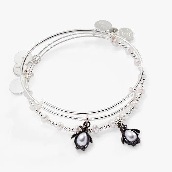 Bracelets Women Alex And Ani Penguin Bangle Set Of 2 Two Tone