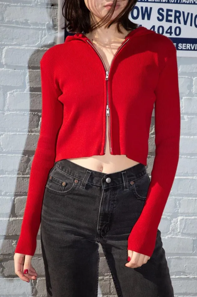 Clothing Arden Crop Hoodie Brandy Melville SWEATPANTS and SWEATSHIRTS