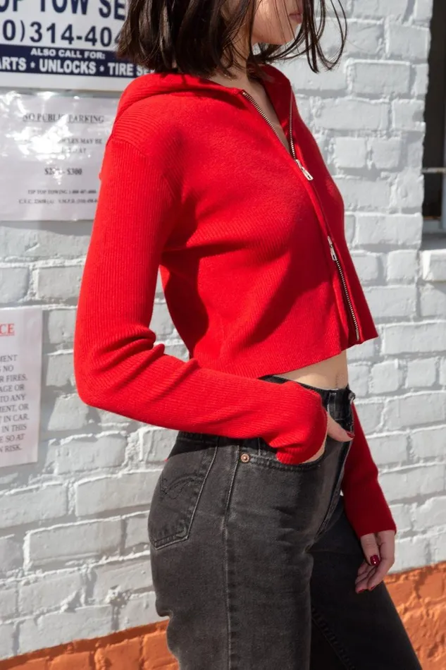 Clothing Arden Crop Hoodie Brandy Melville SWEATPANTS and SWEATSHIRTS