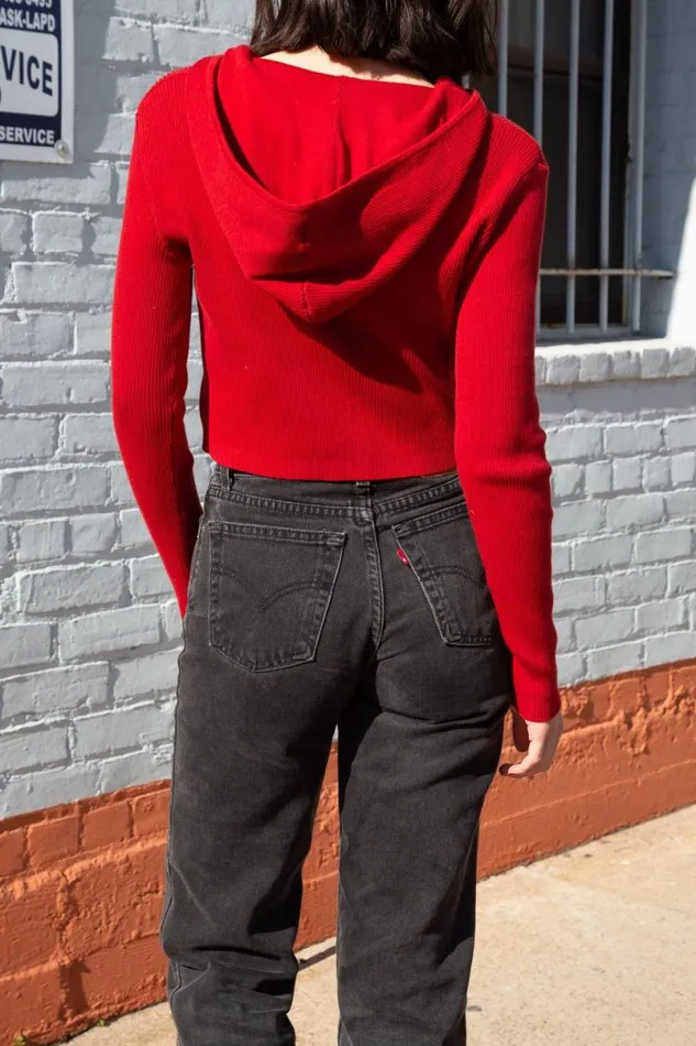 Clothing Arden Crop Hoodie Brandy Melville SWEATPANTS and SWEATSHIRTS