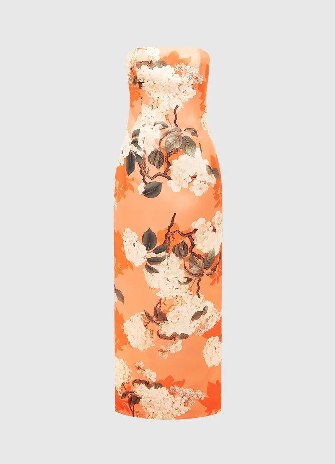 Dresses and Jumpsuits Rayna Bustier Maxi Dress 8211 Hydrangea Print in Tangerine 8211 LEO LIN Women