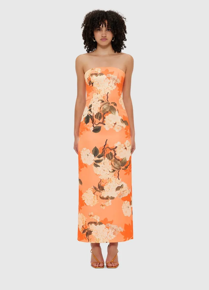 Dresses and Jumpsuits Rayna Bustier Maxi Dress 8211 Hydrangea Print in Tangerine 8211 LEO LIN Women
