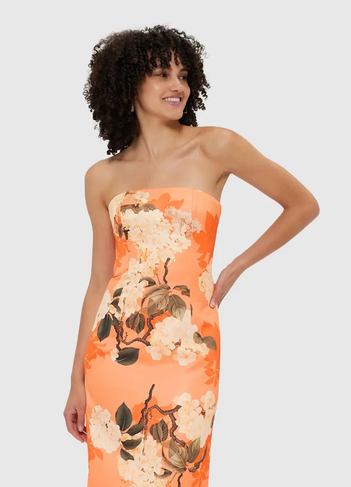 Dresses and Jumpsuits Rayna Bustier Maxi Dress 8211 Hydrangea Print in Tangerine 8211 LEO LIN Women