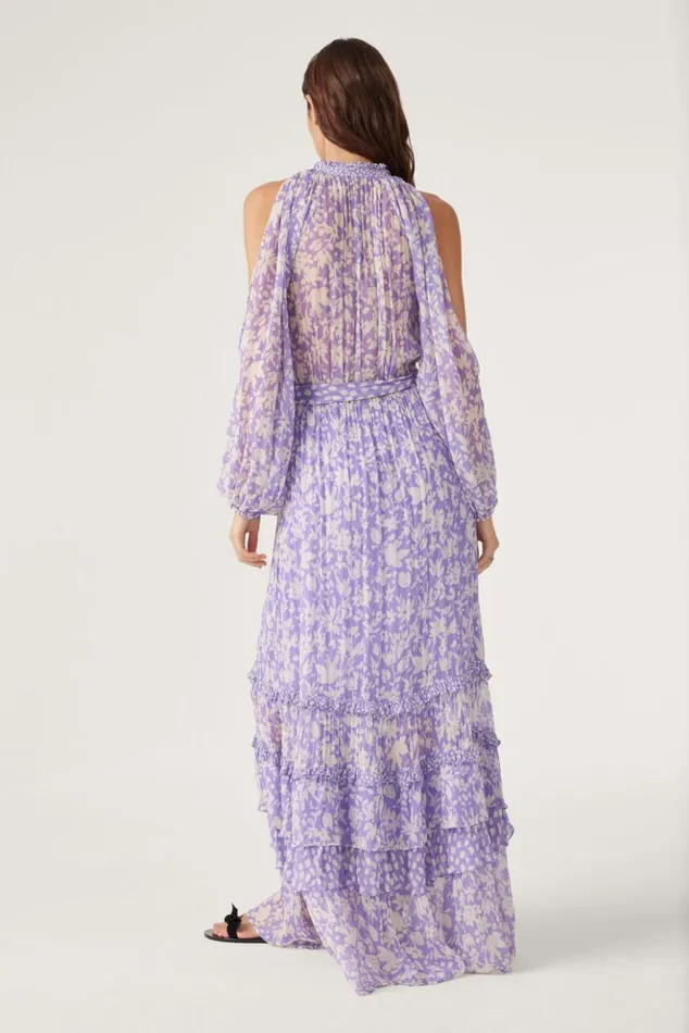 FannyLong Dress Clothing Baandsh Dresses