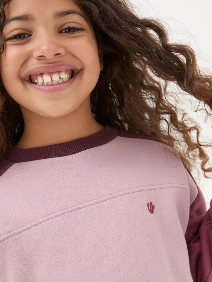 Fat Face Sweatshirts and Hoodies Dusky Purple Butterfly Sweatshirt 8211 Kids