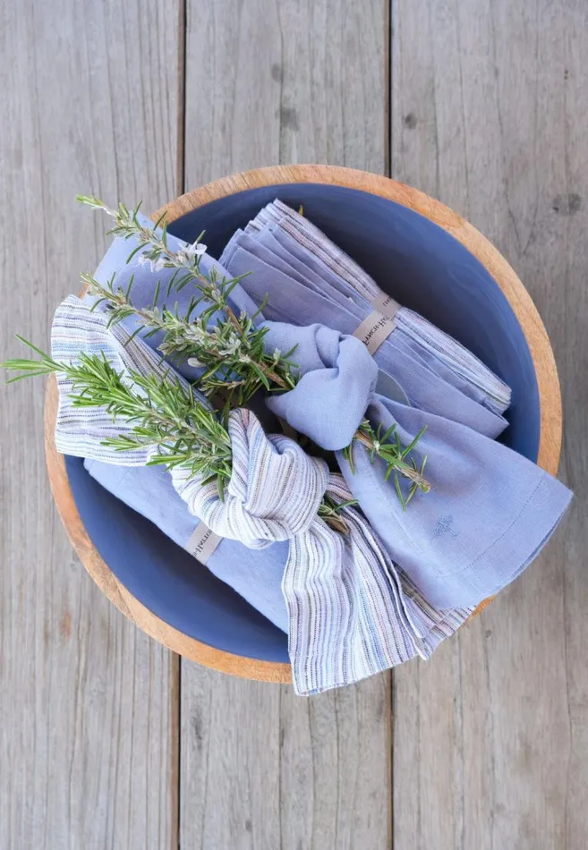 FYNCHHATTON Sandibe Napkins Set Of 4 Hot Pinkdove Blueblue Stripedelephant Graysage Living Kitchen Accessories
