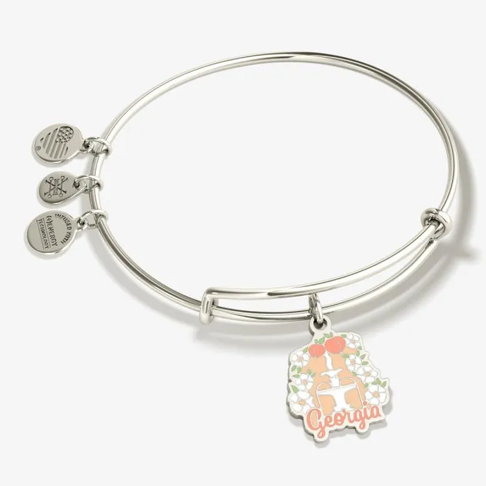 Iconic Women Alex And Ani Georgia Charm Bangle Bracelet Shiny Gold