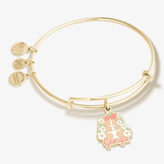 Iconic Women Alex And Ani Georgia Charm Bangle Bracelet Shiny Gold