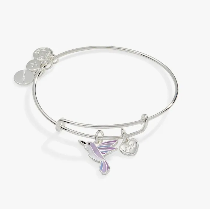 Iconic Women Alex And Ani Joy039 Hummingbird Duo Charm Bangle Bracelet Silver