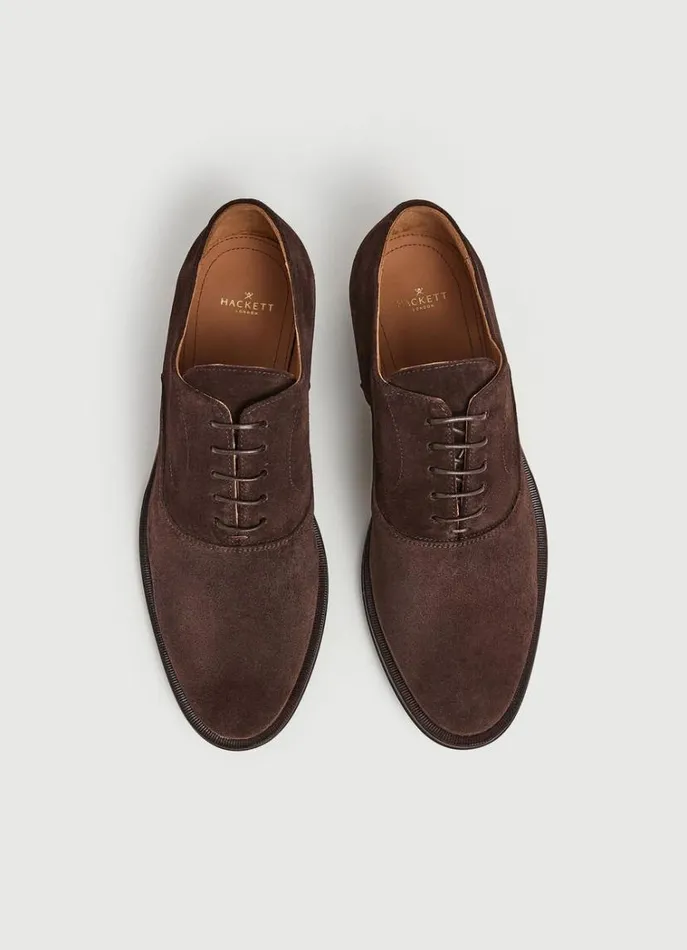 Men Casual Shoes Hackett London Suede Oxford Shoes Chocolate Brown