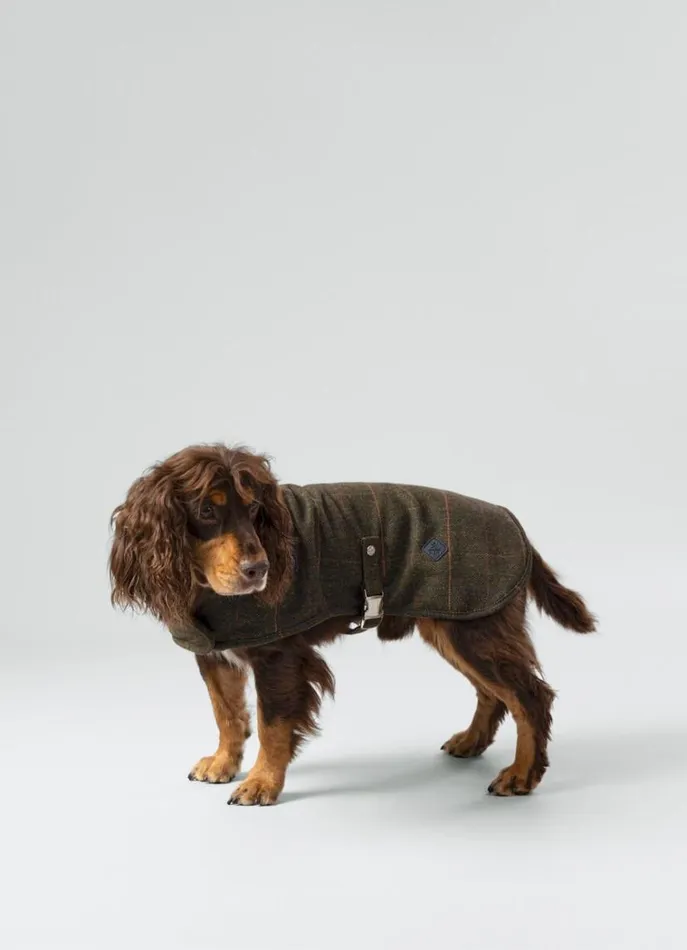 Men Hackett X Hugo and Hudson Hackett London Checked Jacket For Dogs 8211 Small Green