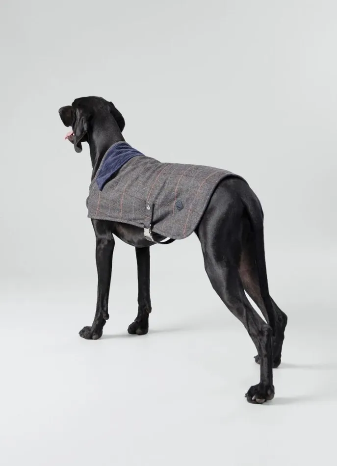 Men Hackett X Hugo and Hudson Hackett London Checked Jacket For Dogs 8211 Small Grey
