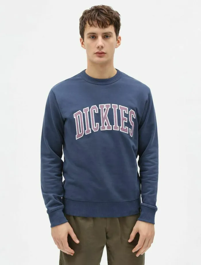 Men Jumpers and Sweatshirts Dickies Aitkin Sweatshirt Navy Blue