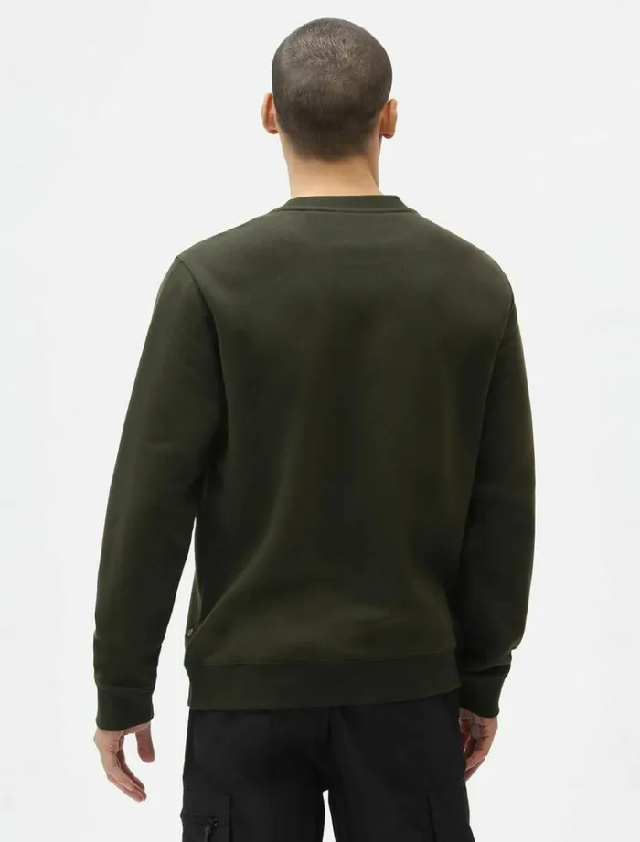 Men Jumpers and Sweatshirts Dickies Oakport Sweatshirt Olive Green