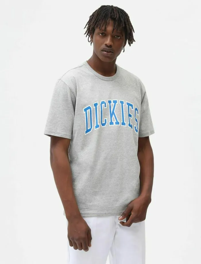 Men TShirts Dickies Aitkin TShirt Grey Melange