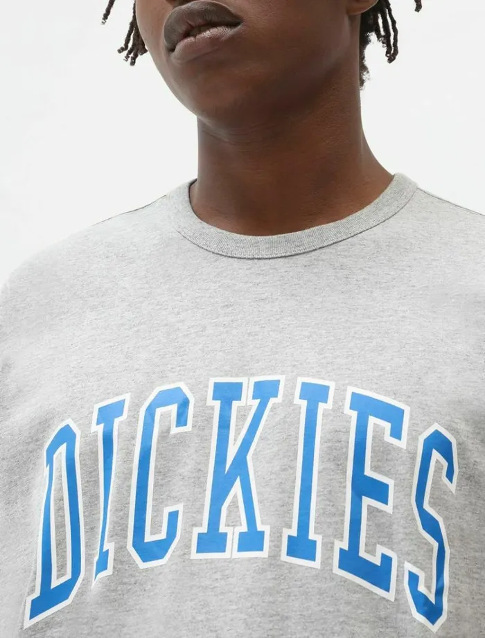 Men TShirts Dickies Aitkin TShirt Grey Melange