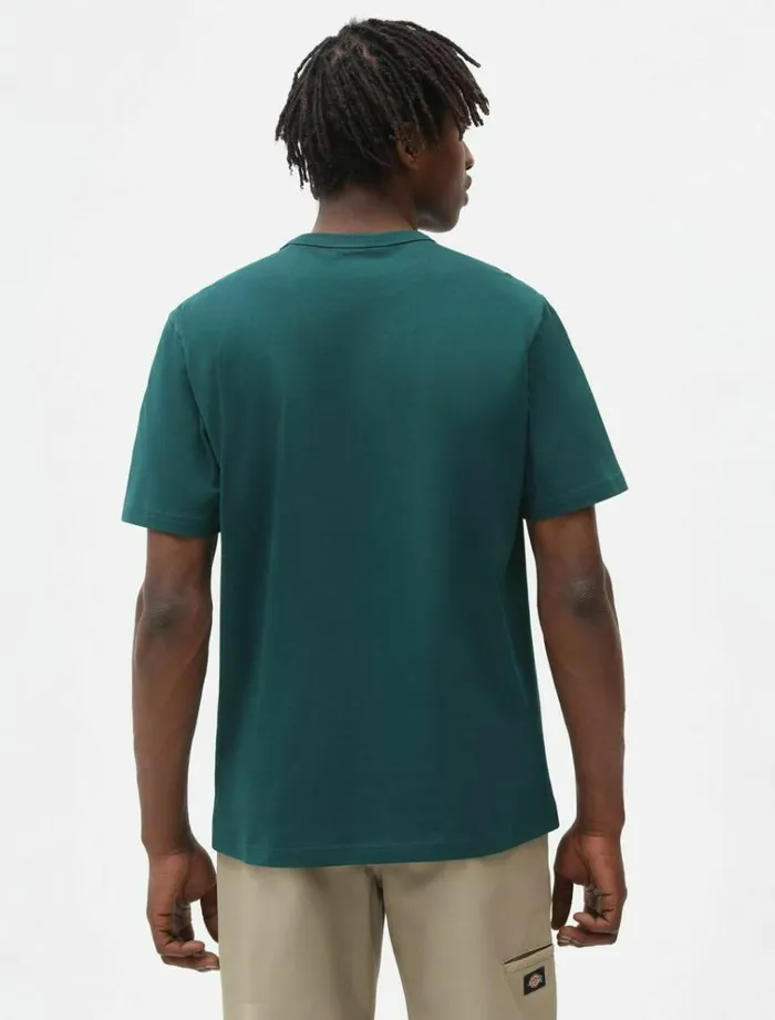 Men TShirts Dickies Aitkin TShirt Ponderosa Pe