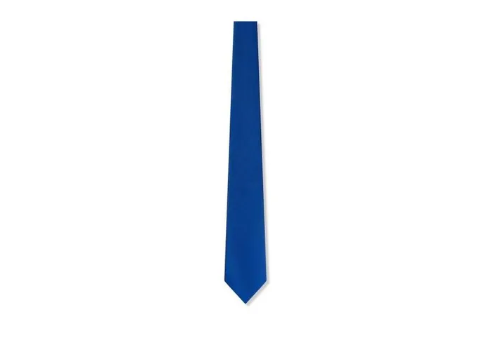 Men Ties and Bow Ties Tom Ford Solid Twill Tie Royal Blue