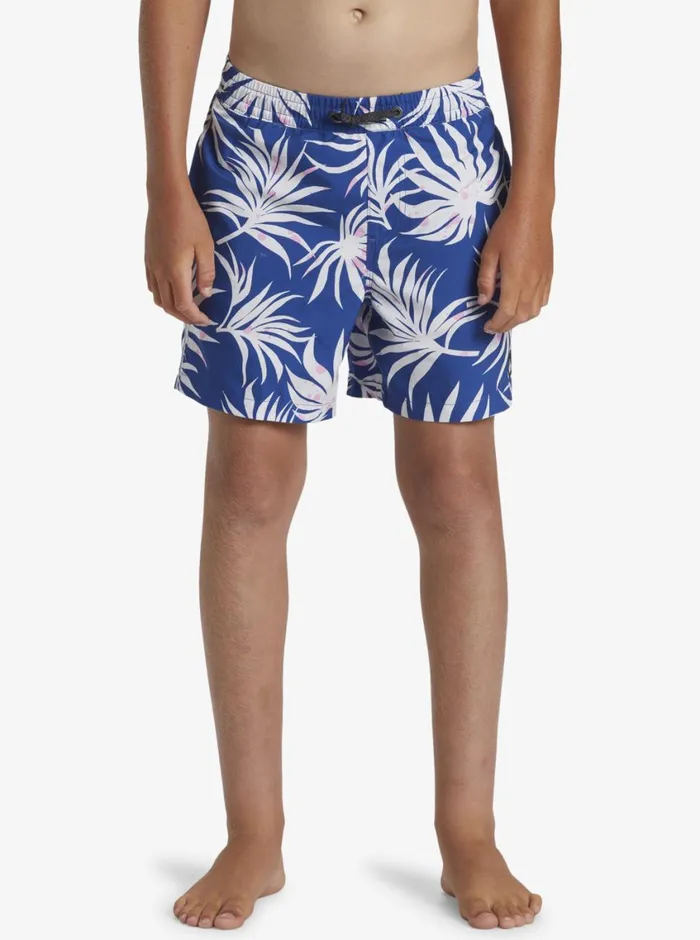 Quiksilver 816 Everyday Mix Volley 14034 Elastic Waist Shorts Monaco Blue Boys Boardshorts Quiksilver 816 Everyday Mix Volley 14034 Elastic Waist Shorts Monaco Blue Boys Boardshorts