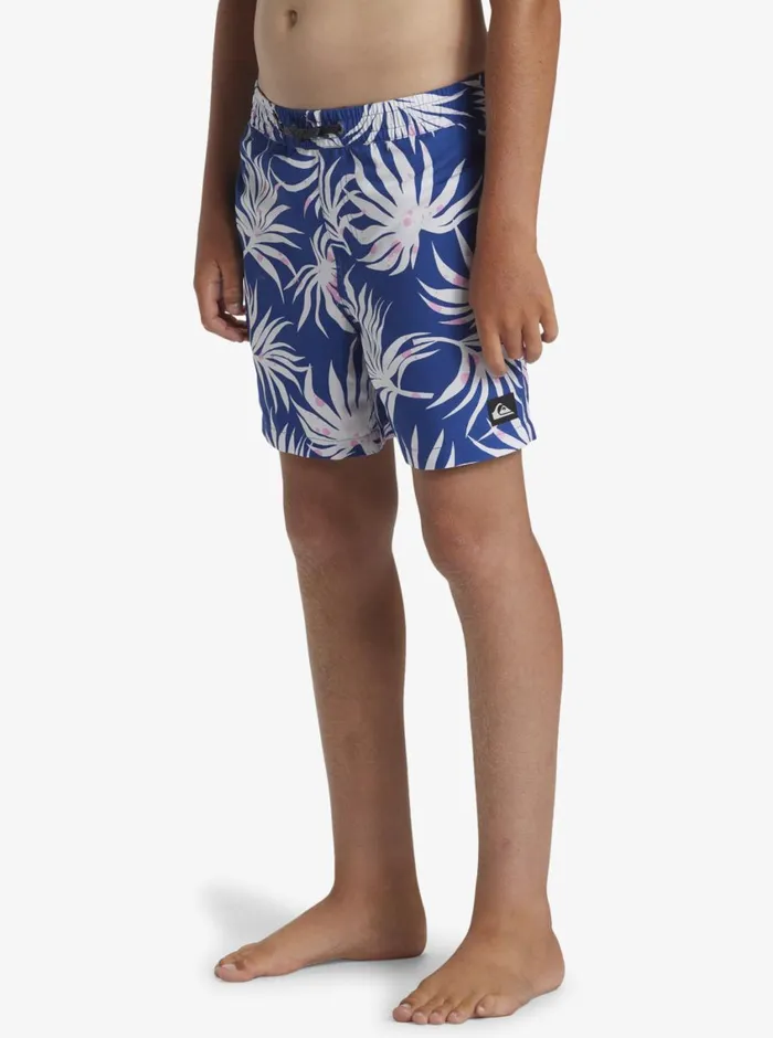 Quiksilver 816 Everyday Mix Volley 14034 Elastic Waist Shorts Monaco Blue Boys Boardshorts Quiksilver 816 Everyday Mix Volley 14034 Elastic Waist Shorts Monaco Blue Boys Boardshorts