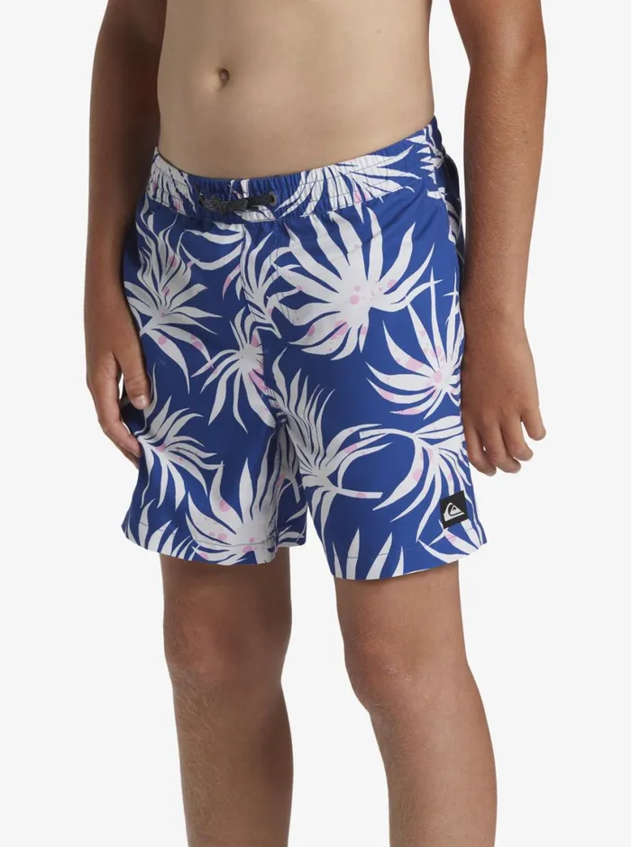 Quiksilver 816 Everyday Mix Volley 14034 Elastic Waist Shorts Monaco Blue Boys Boardshorts Quiksilver 816 Everyday Mix Volley 14034 Elastic Waist Shorts Monaco Blue Boys Boardshorts