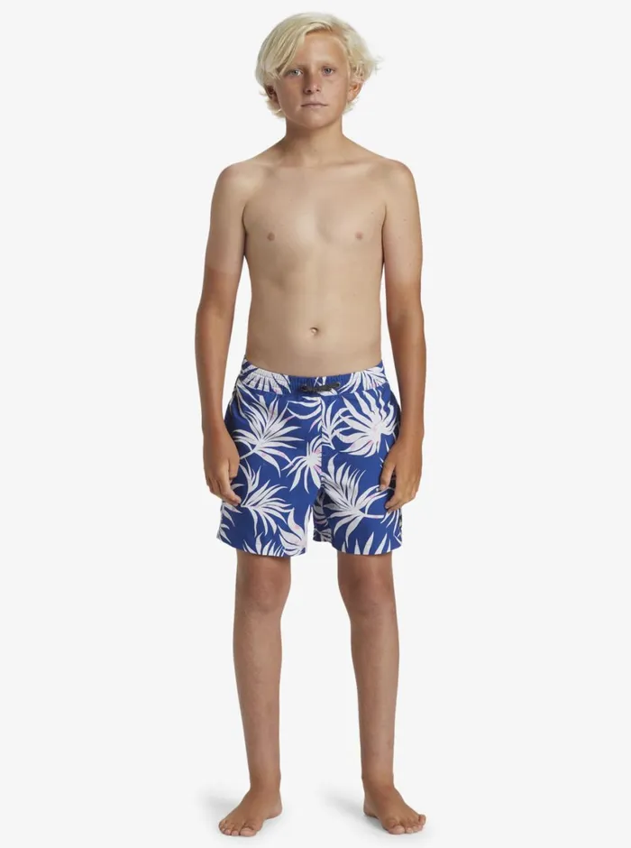 Quiksilver 816 Everyday Mix Volley 14034 Elastic Waist Shorts Monaco Blue Boys Boardshorts Quiksilver 816 Everyday Mix Volley 14034 Elastic Waist Shorts Monaco Blue Boys Boardshorts
