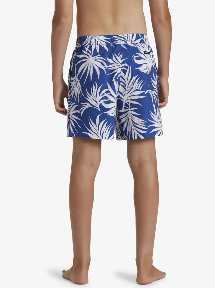 Quiksilver 816 Everyday Mix Volley 14034 Elastic Waist Shorts Monaco Blue Boys Boardshorts Quiksilver 816 Everyday Mix Volley 14034 Elastic Waist Shorts Monaco Blue Boys Boardshorts