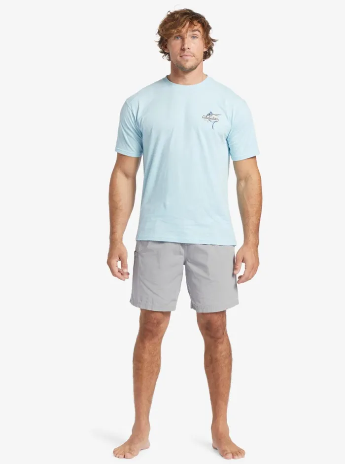 Quiksilver Last Light Elastic Waist 19034 Shorts Sharkskin MensWaterman Shorts and Amphibians Quiksilver Last Light Elastic Waist 19034 Shorts Sharkskin MensWaterman Shorts and Amphibians