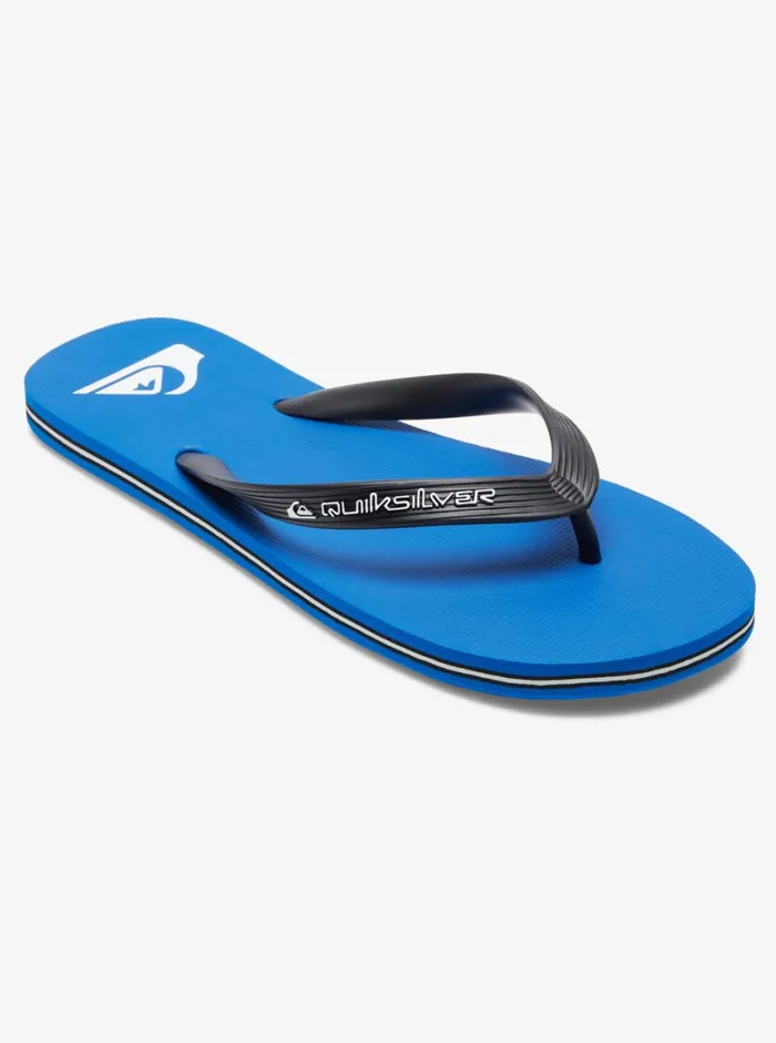 Quiksilver Molokai Core FlipFlops Blue 1 Mens Sandals