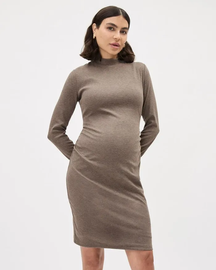 RWandCO Dresses and Jumpsuits LongSleeve MockNeck Ribbed Dress 8211 Thyme Maternity Falcon Mix 8211 Women RWandCO Dresses and Jumpsuits LongSleeve MockNeck Ribbed Dress 8211 Thyme Maternity Falcon Mix 8211 Women
