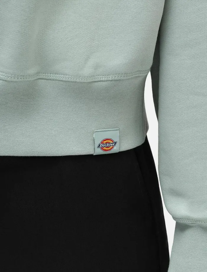 Women Jumpers and Sweatshirts Dickies Loretto Boxy Hoodie Jadeite