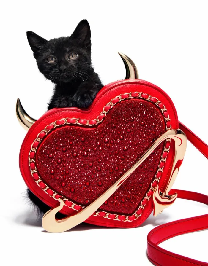 Women KITSCH DEVIL IN THE DETAILS CROSSBODY RED Betsey Johnson Women KITSCH DEVIL IN THE DETAILS CROSSBODY RED Betsey Johnson